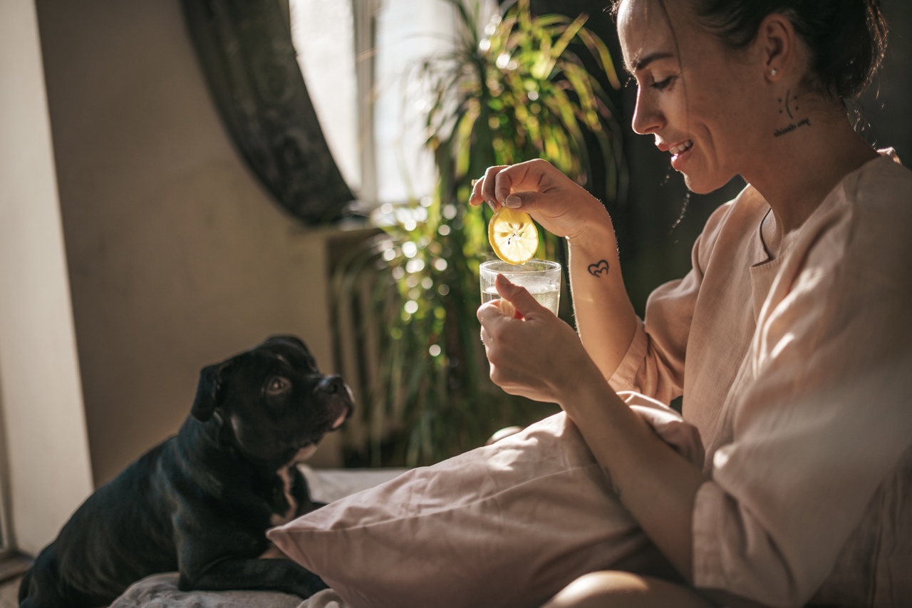 Chás: Conheça os benefícios e diferentes tipos da bebida