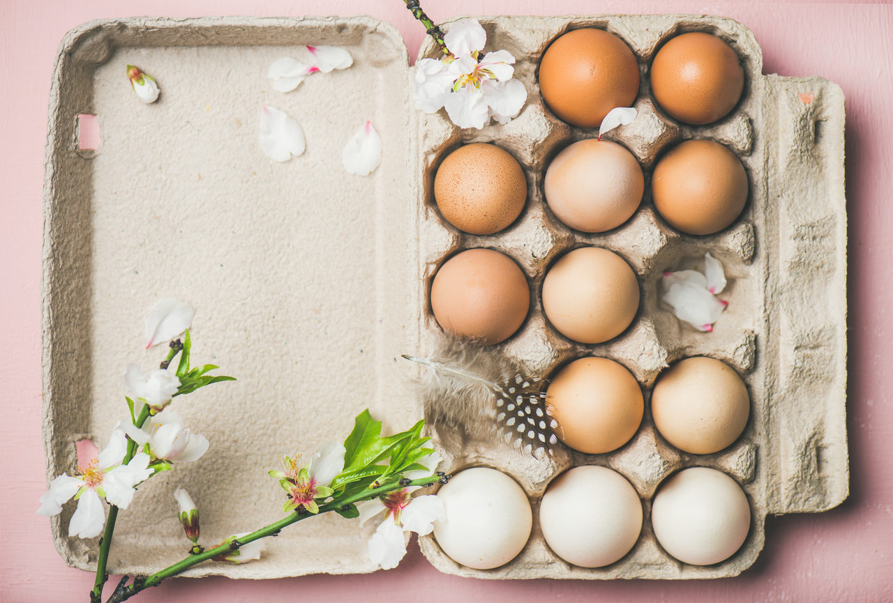 Dieta do ovo 3 dias: Cardápio do desafio do ovo