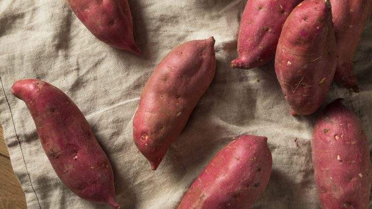 Batata-doce solta o intestino Quem tem diabetes pode comer batata-doce