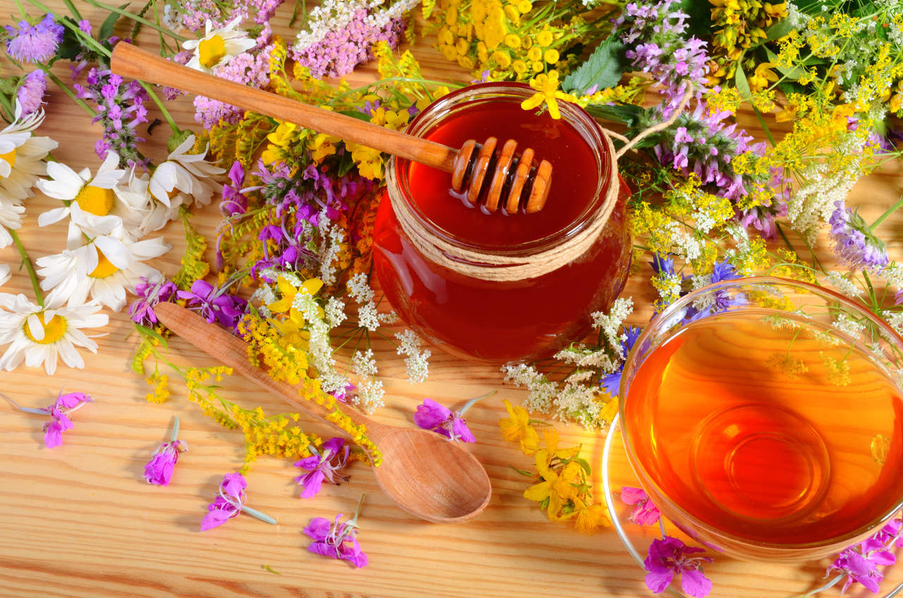 Mel de Manuka: O alimento que promete cuidar da saúde