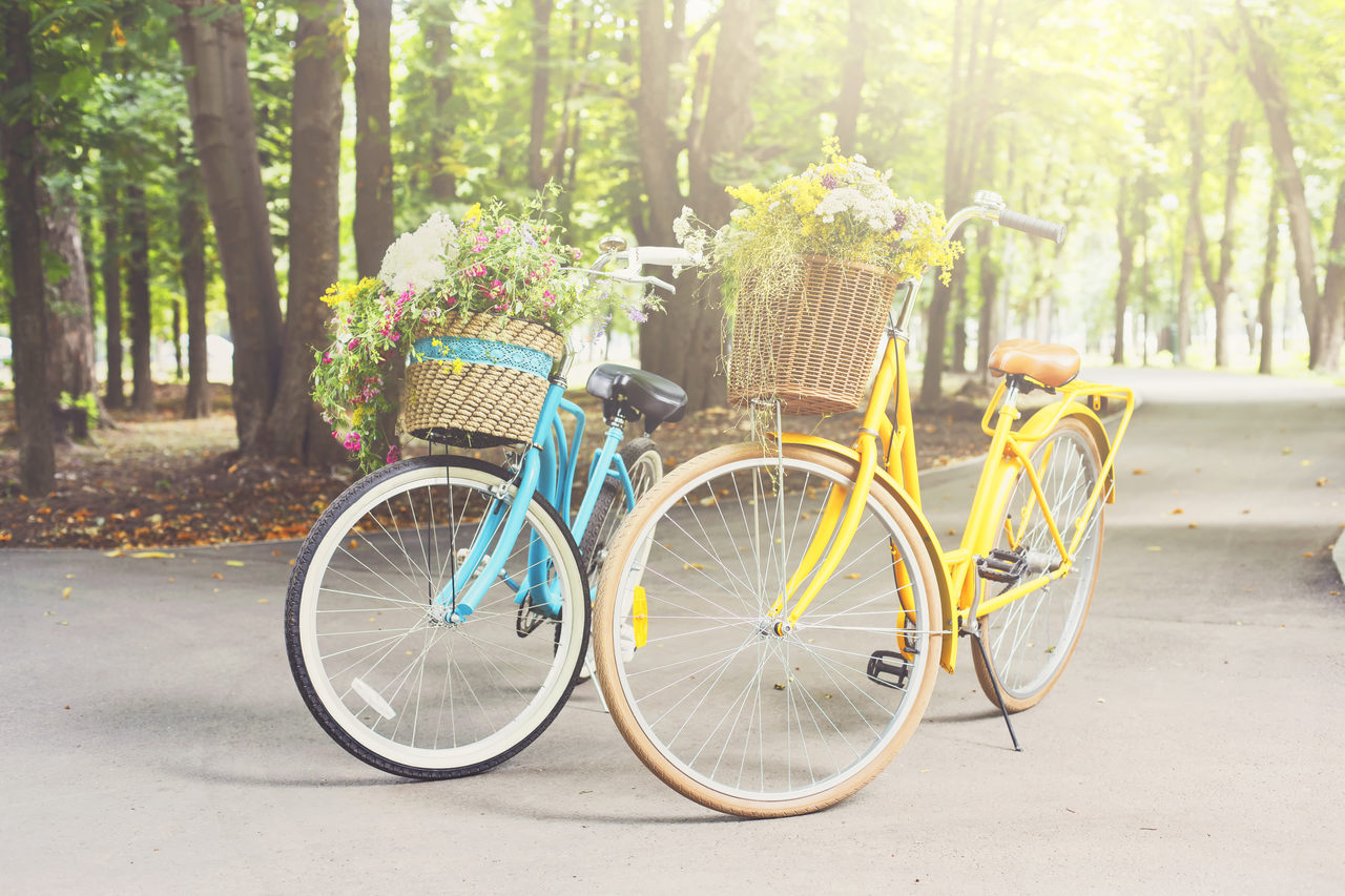 Bicicleta: O que você precisa saber antes de começar a pedalar