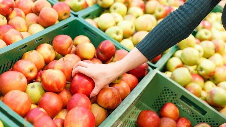 escolher os alimentos