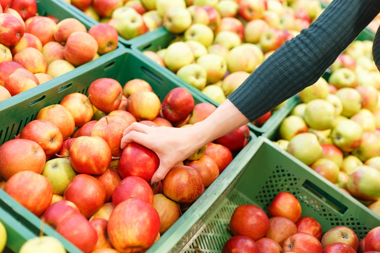 Como escolher os alimentos na hora da compra