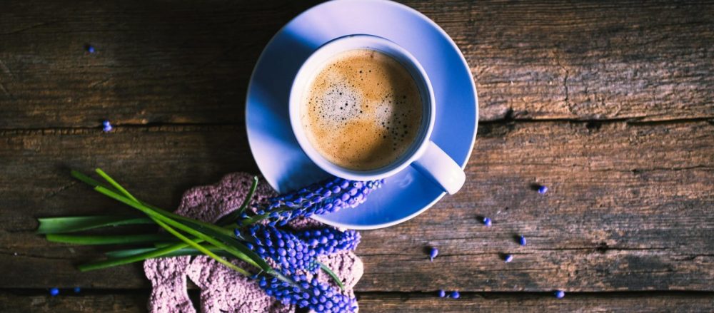 Café de chicória: Uma alternativa sem cafeína