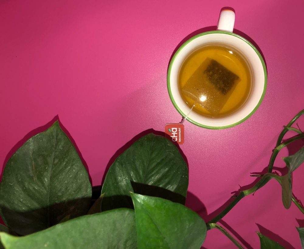 Receita de Bebida Refrescante com Chá Tecnonutri