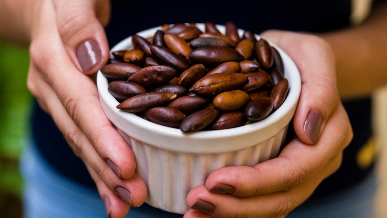 Castanha de baru: O que é, benefícios e como consumir