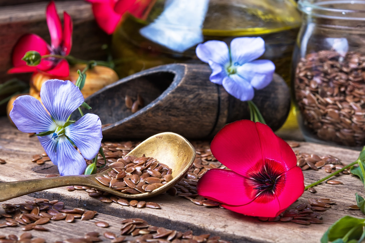 Linhaça: Os benefícios da poderosa semente