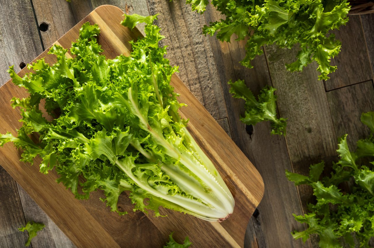 Escarola: Benefícios e como consumir o vegetal