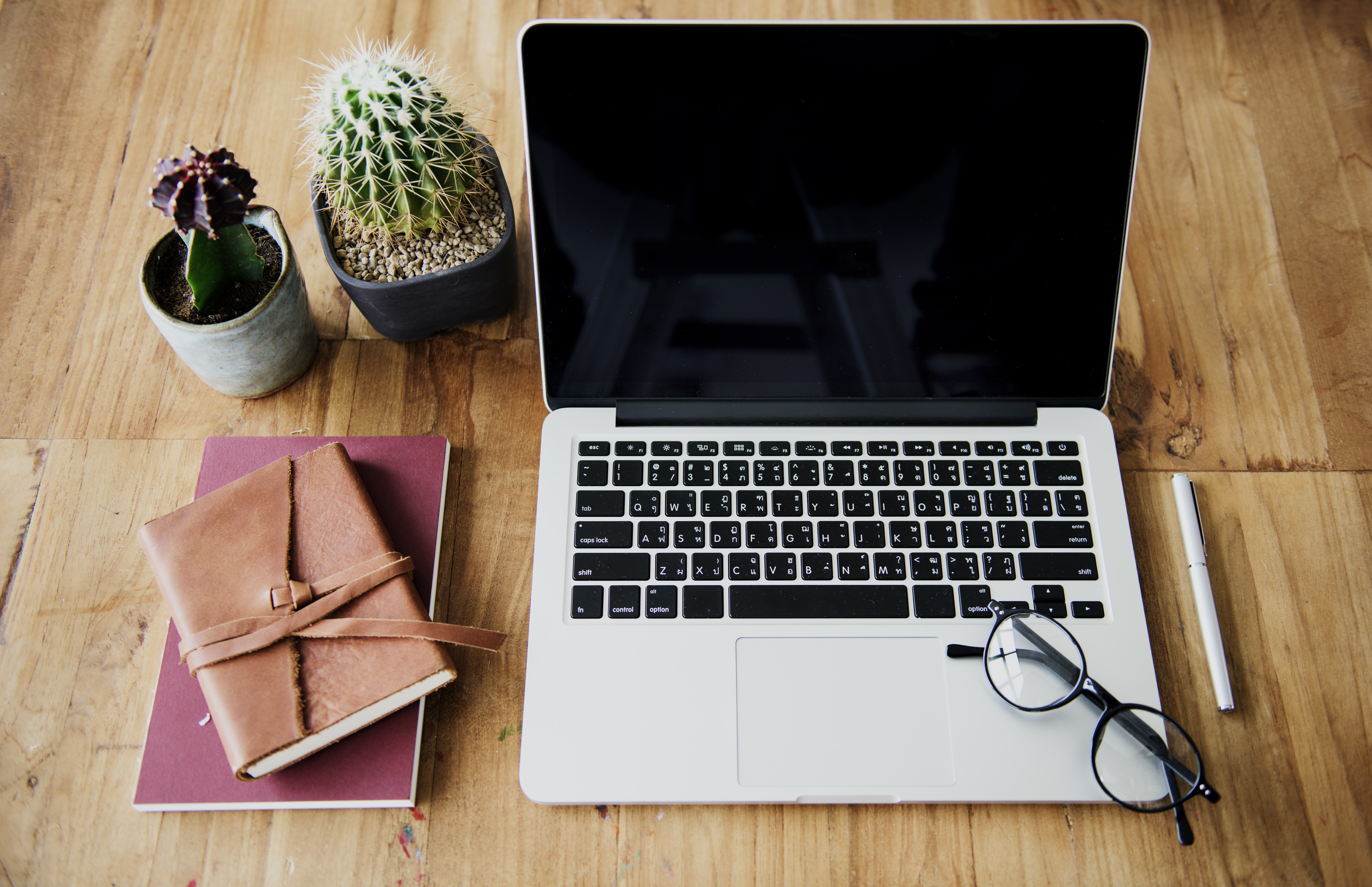 Ter plantas no trabalho pode reduzir o estresse