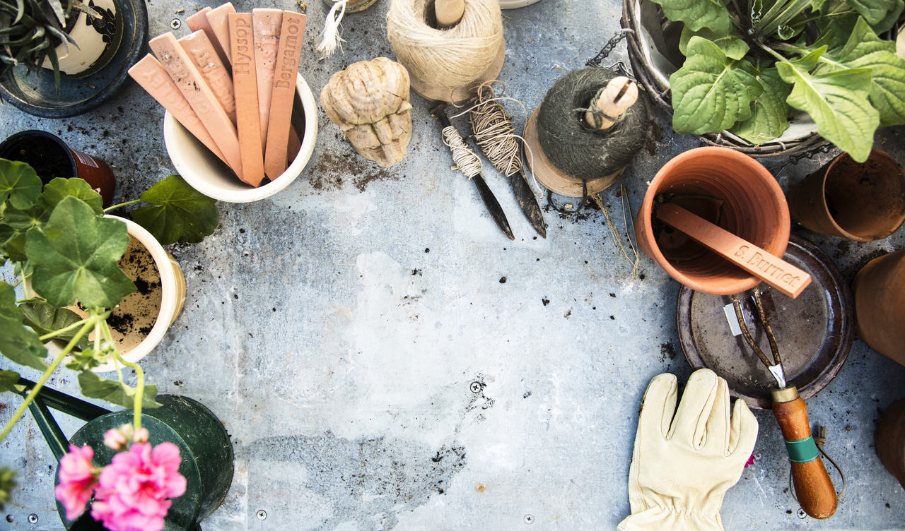 Jardinagem pode aliviar o sentimento de solidão