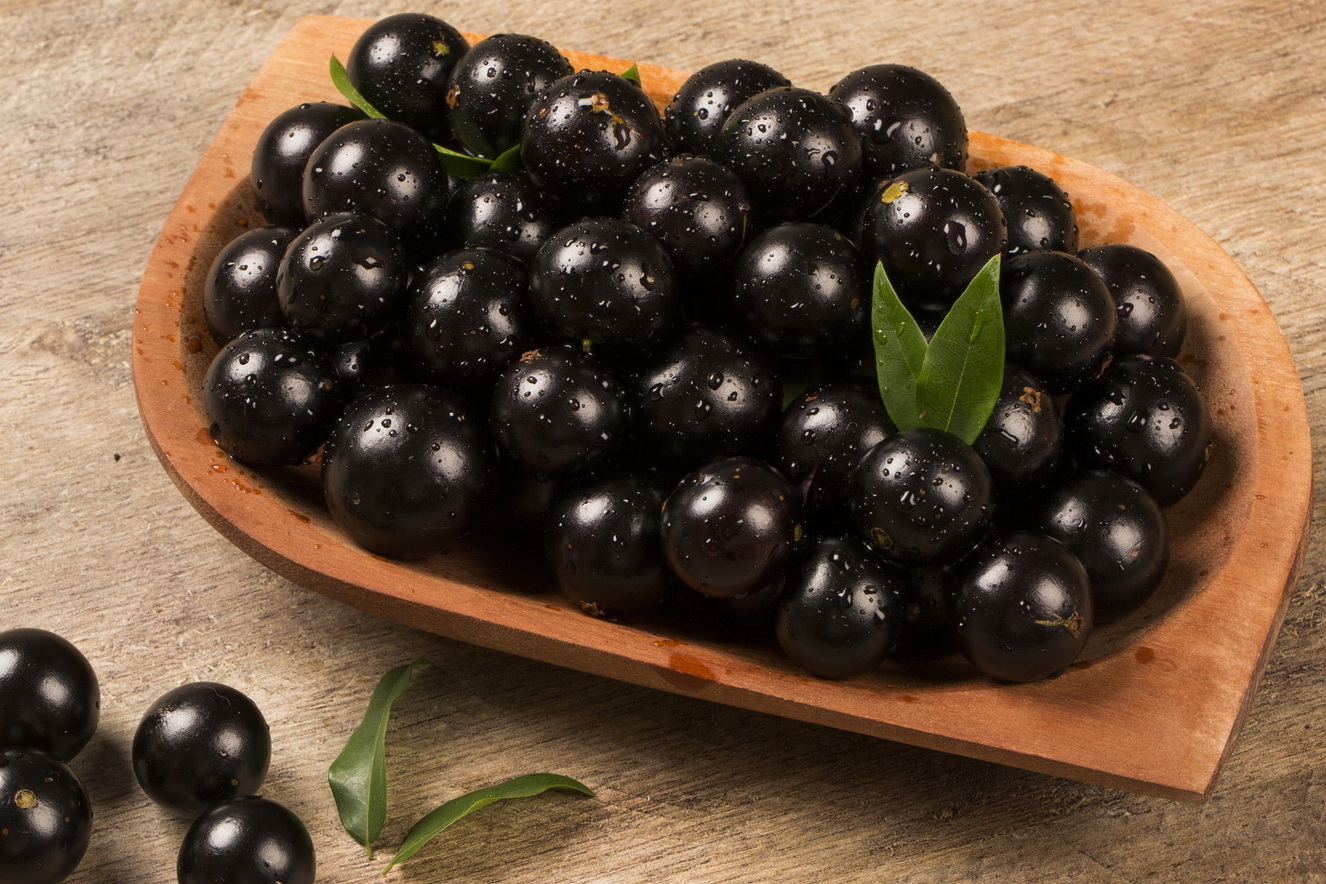 Jabuticaba: Benefícios da fruta brasileira