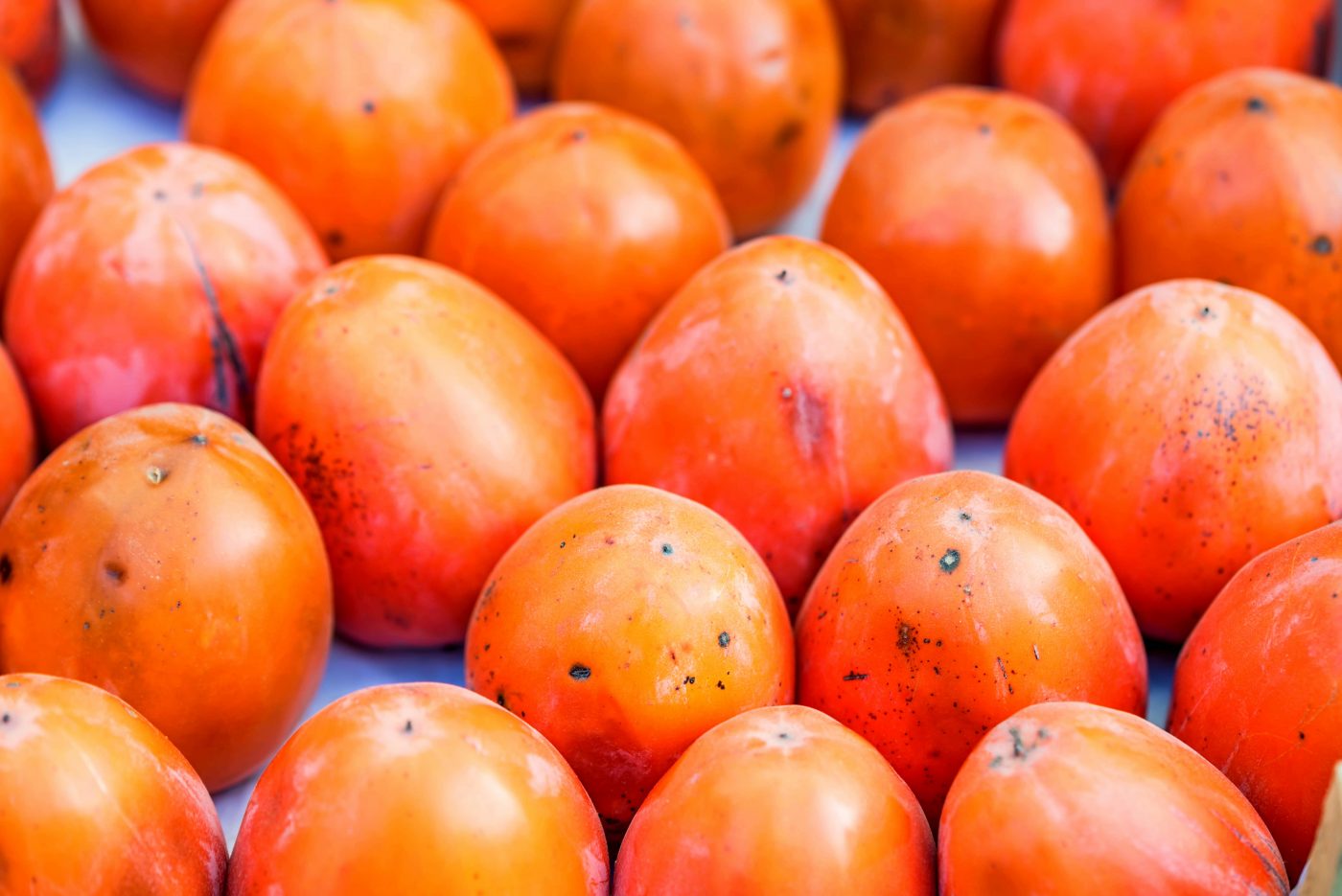 Jaracatiá: Propriedades e benefícios da fruta brasileira