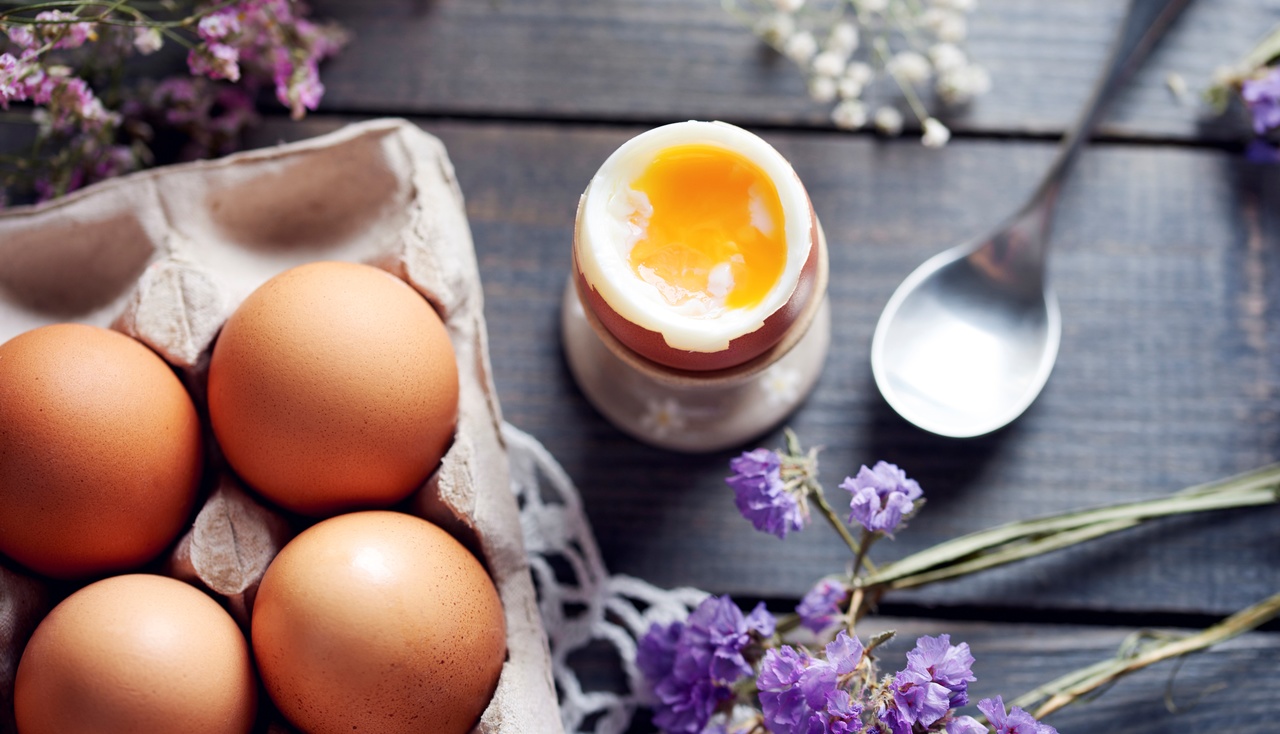 Porque a proteína é essencial para o sistema imunológico