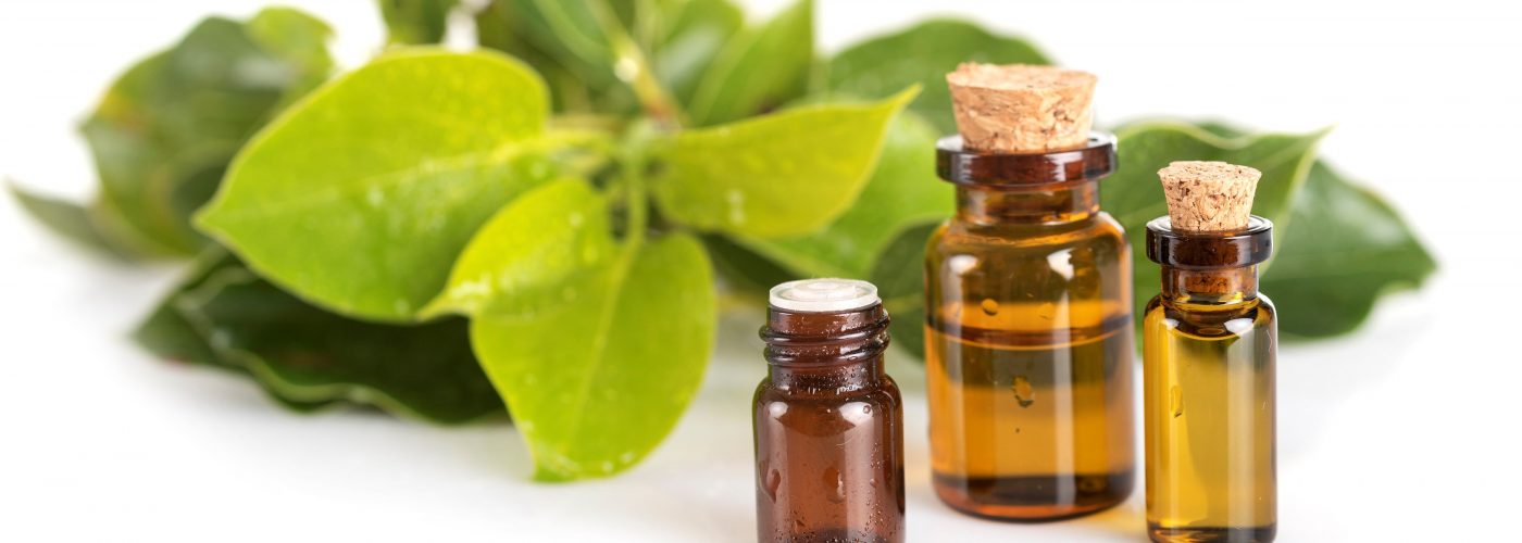 Cânfora: O que é, benefícios e como utilizar