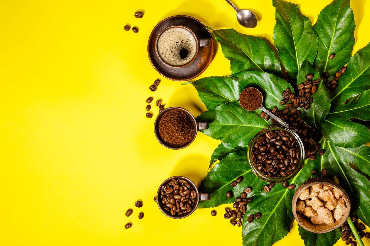 Cafeína pode nos ajudar a resolver problemas, diz estudo