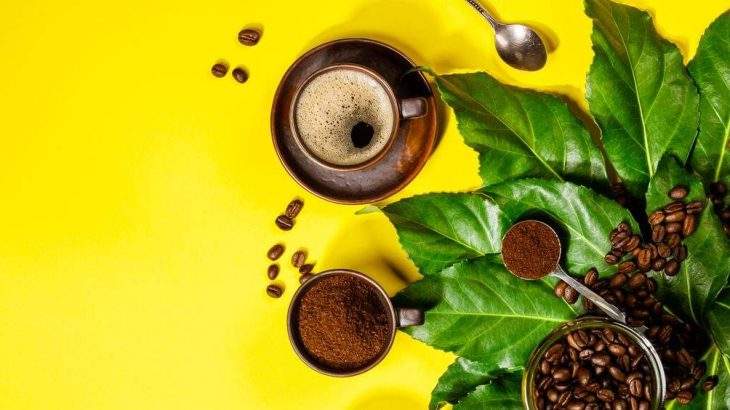 alternativas à cafeína