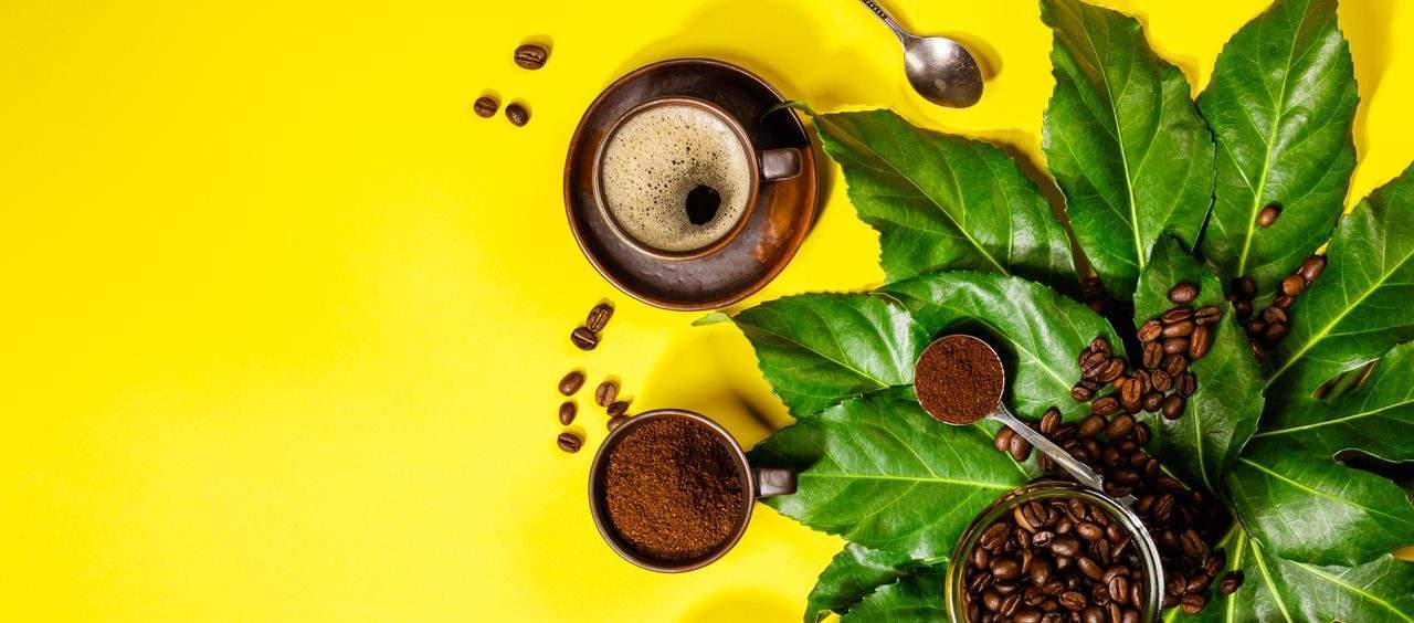 Alternativas à cafeína que funcionam como estimulantes naturais