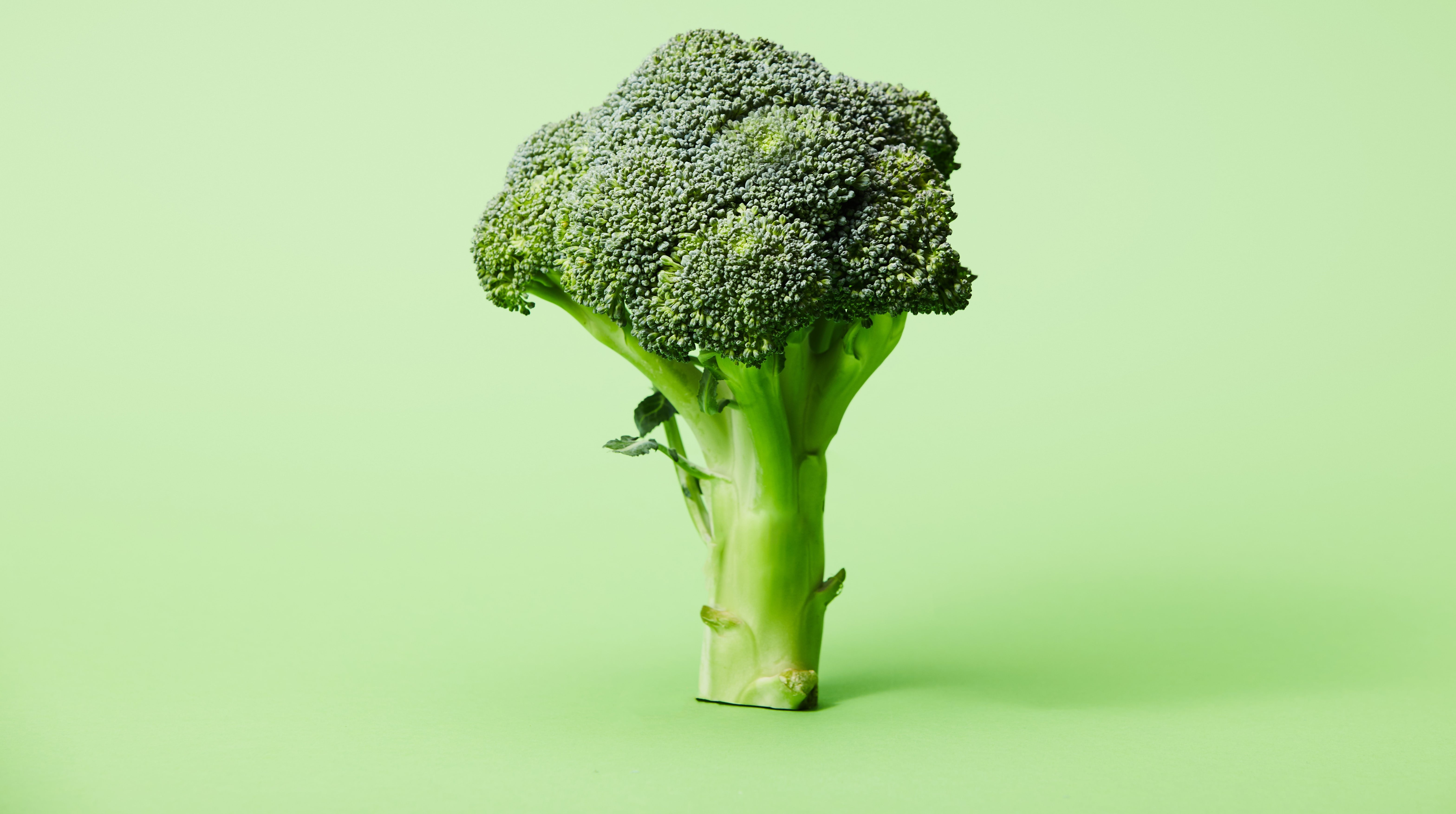 Quercetina: Conheça o poderoso antioxidante