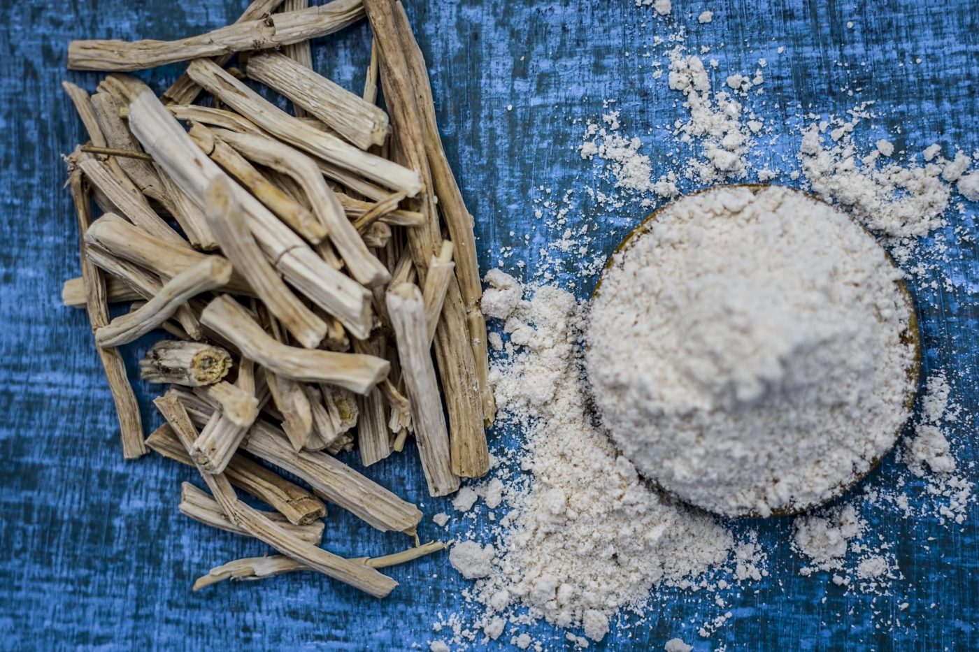 Shatavari: Benefícios que você precisa conhecer