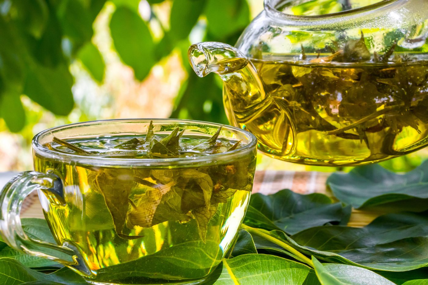 Chá de fedegoso: Conheça os benefícios da bebida