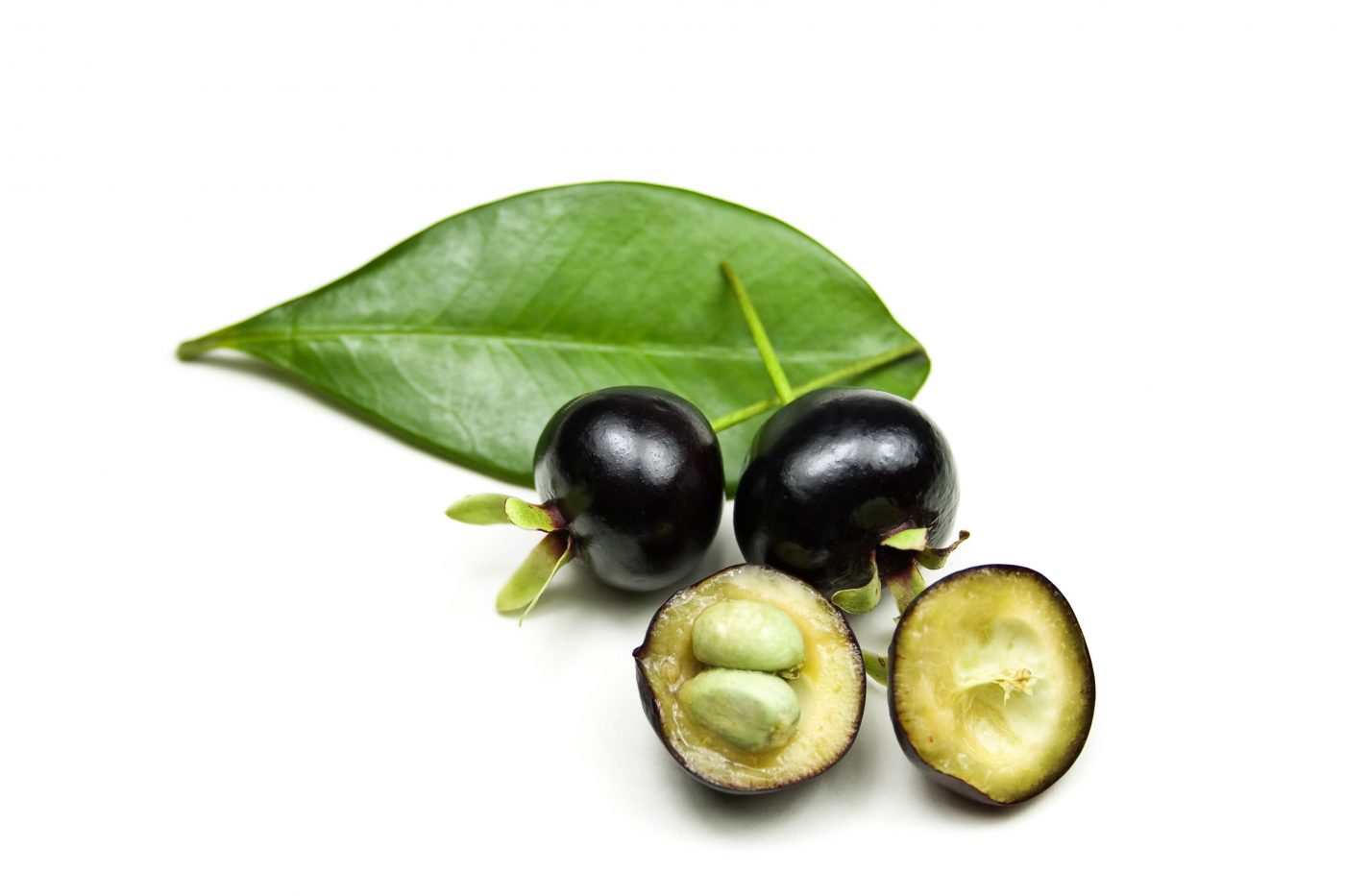 Grumixama: Conheça a fruta da Mata Atlântica