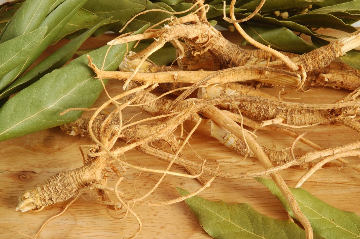 Chá de fáfia: Propriedades e benefícios da bebida