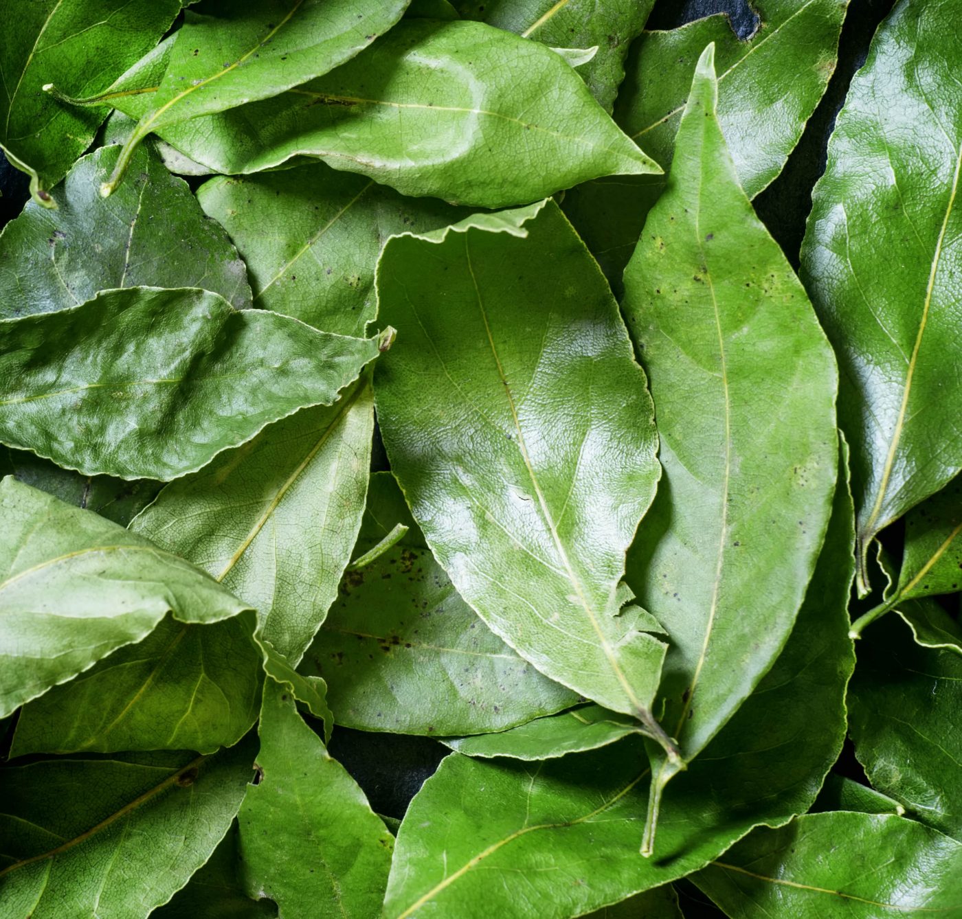 Chá de chambá: Propriedades e benefícios