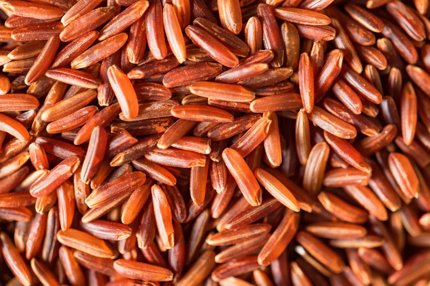 Fermento de arroz vermelho: Benefícios e como consumir