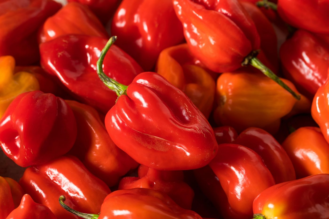 Pimenta cumari: Propriedades e benefícios