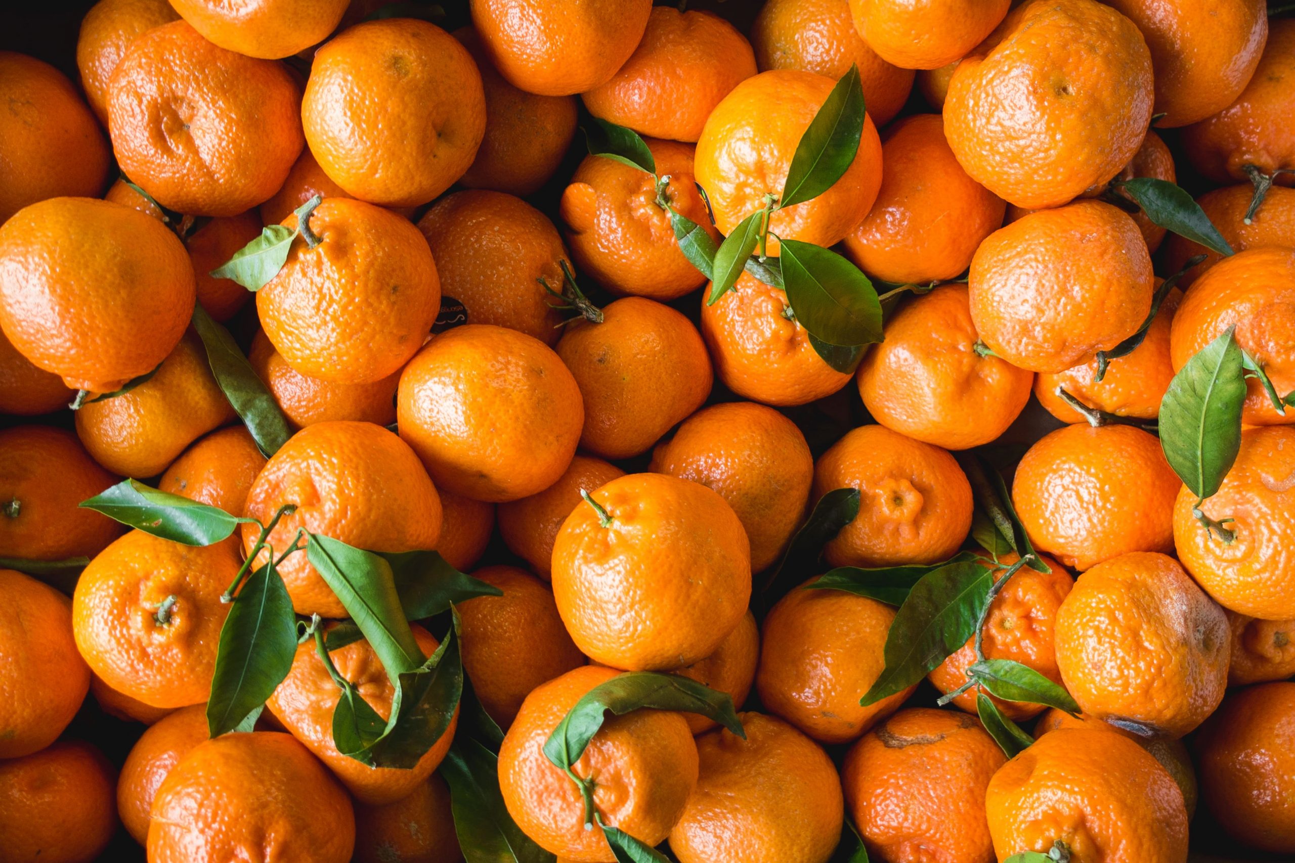 Frutas do outono: Quais são e seus benefícios