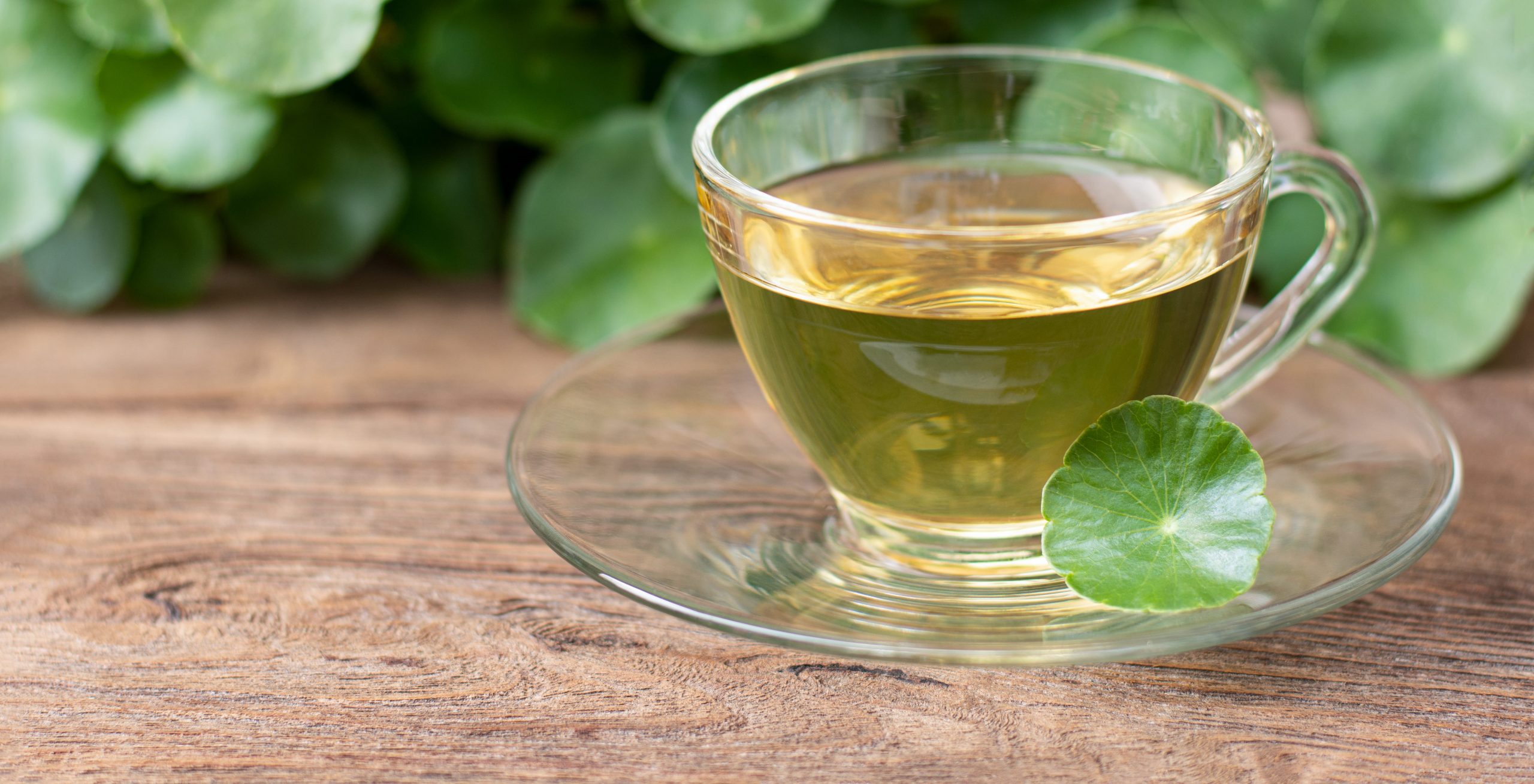 Ativos que ajudam a melhorar a pele e o corpo no verão