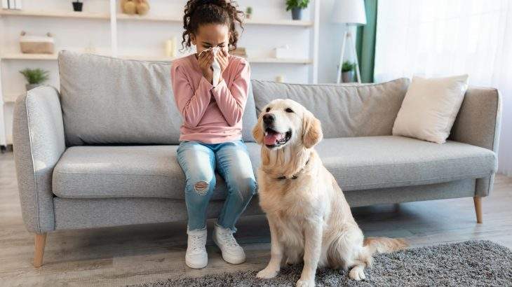 alergia a gato e a cachorro