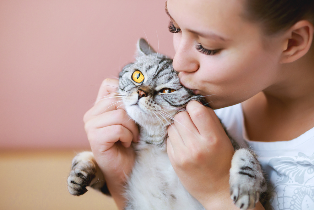 Beijar o bicho de estimação pode trazer doenças?