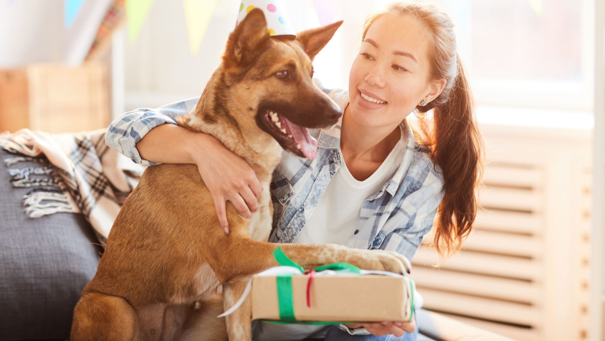 Alzheimer em animais: O que é, sintomas e tratamento