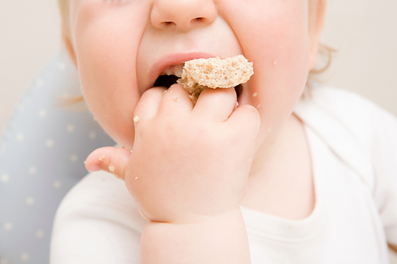 Bebê pode comer biscoito maisena? Descubra