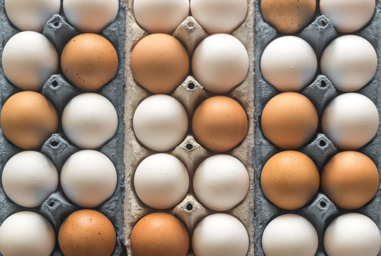 BBB 22: Faz mal comer 12 ovos por dia? Especialista responde