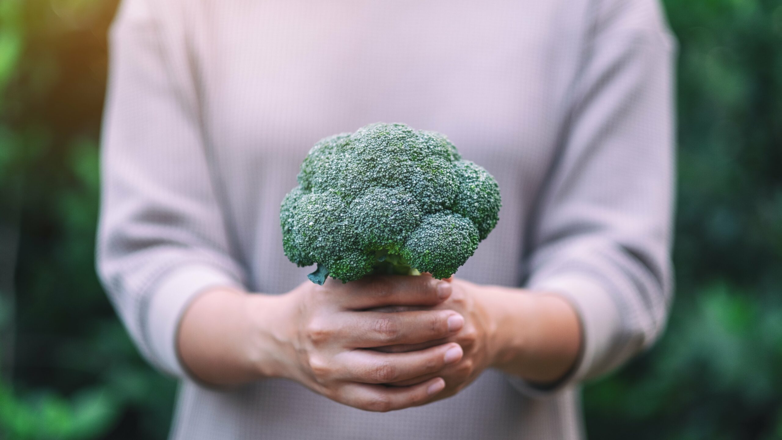 Melhores alimentos para aliviar a cólica menstrual