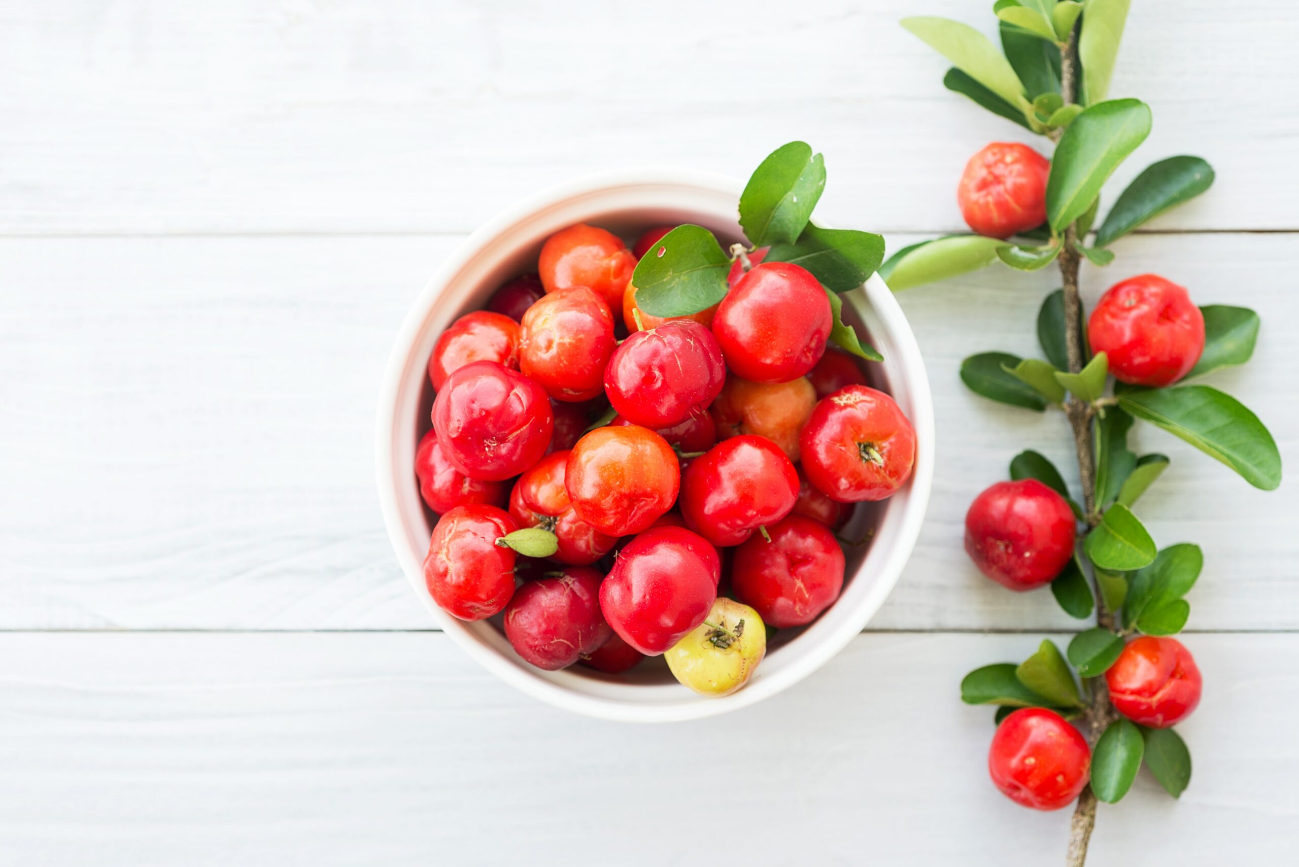 Chá de folha de acerola é rico em vitamina C. Veja como preparar em casa