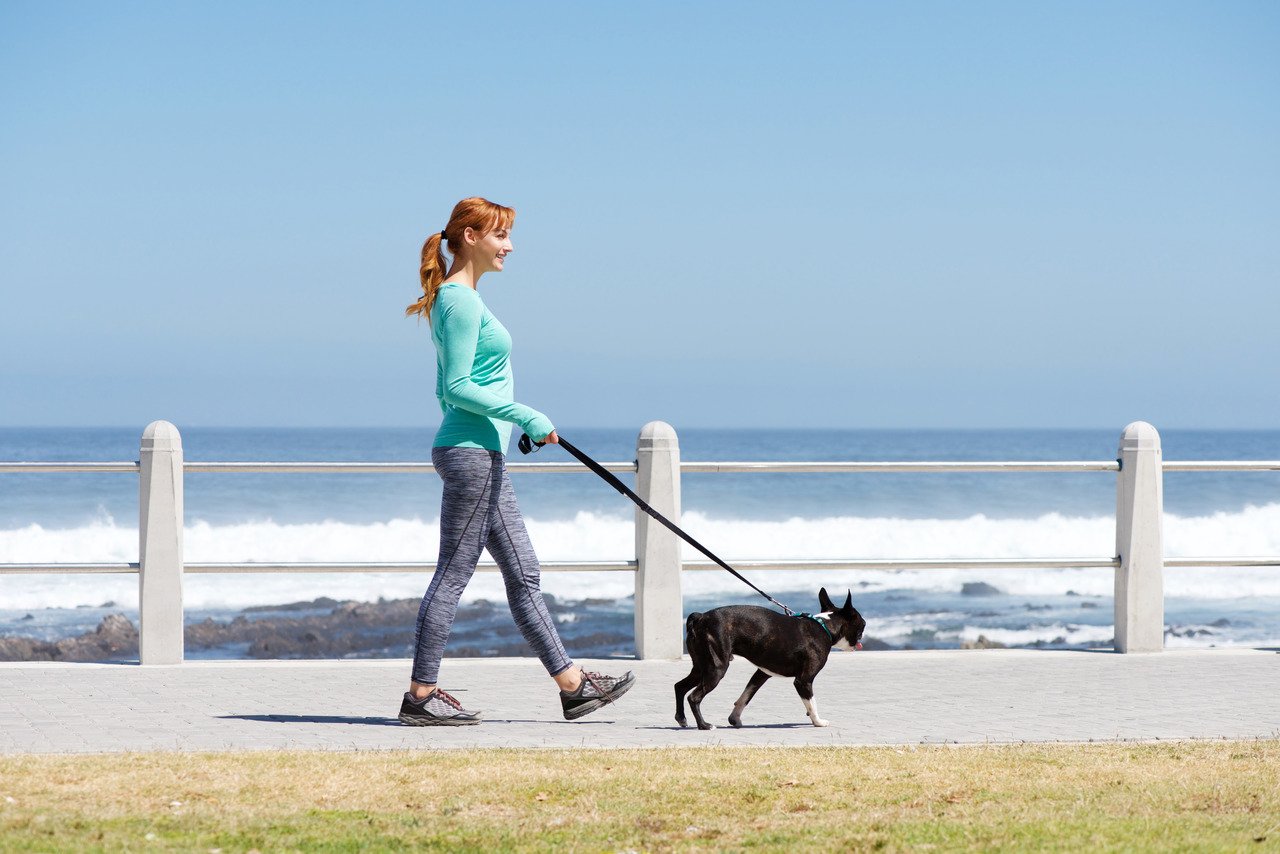 Adotar um cachorro é passo importante para uma vida mais ativa