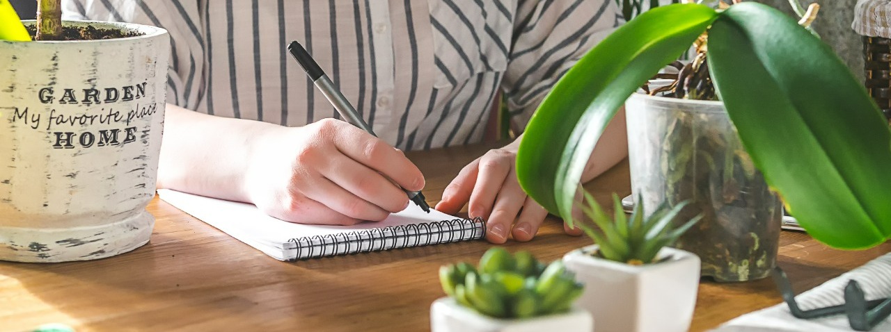 Quer um jardim mais organizado? Tenha um diário!