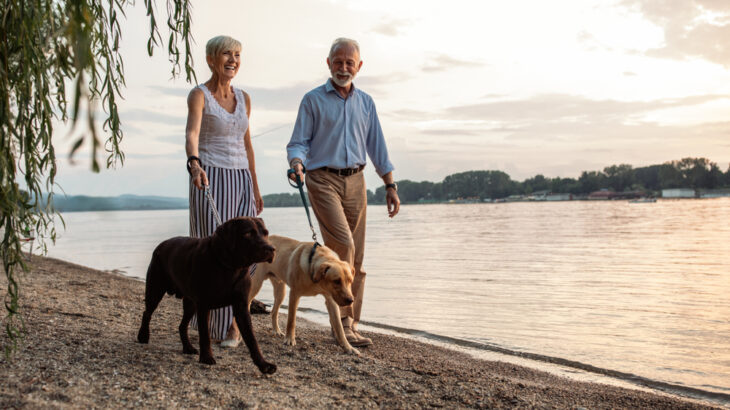tutores de cachorros