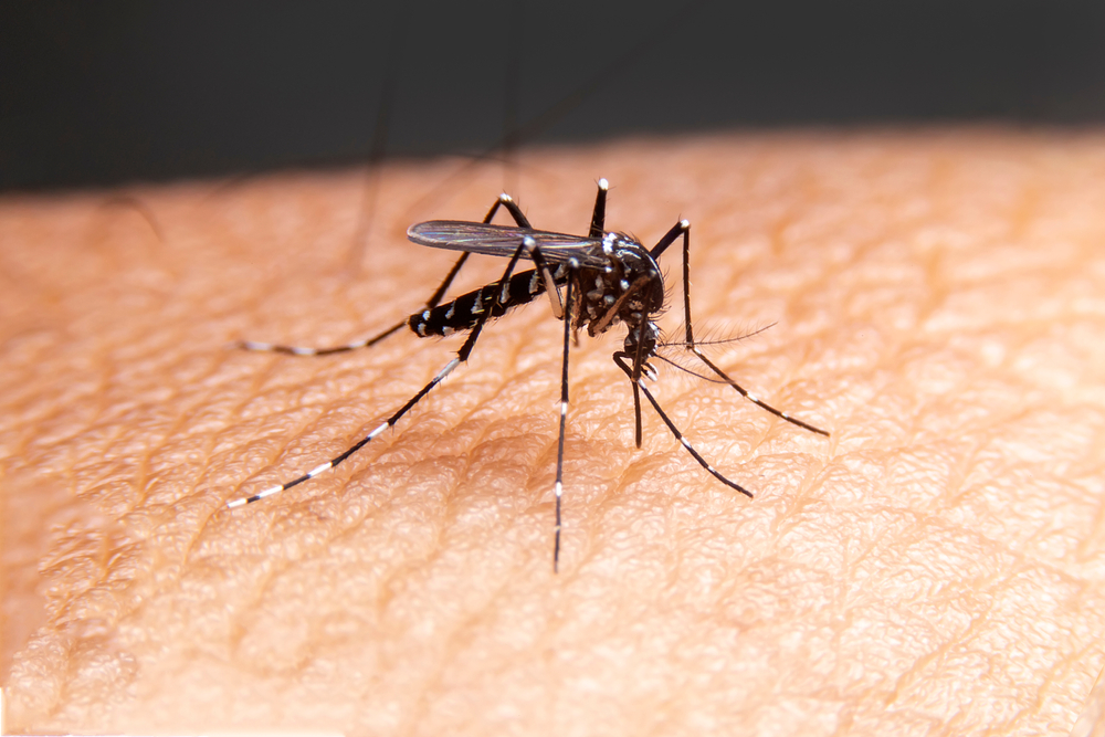 Em menos de 3 meses, Brasil supera casos de dengue de 2023