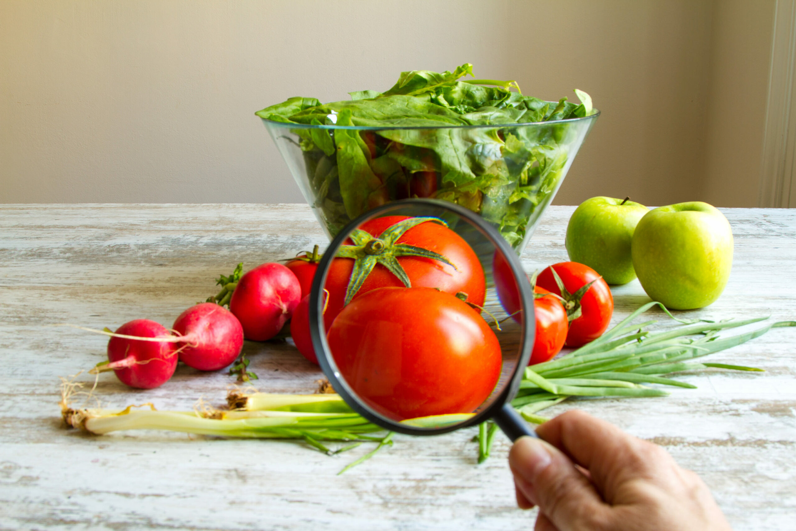 O que são alimentos transgênicos?